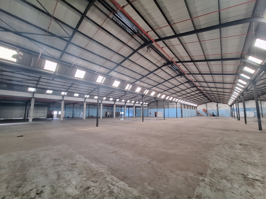 To Let commercial Property for Rent in Brackenfell Industrial Western Cape
